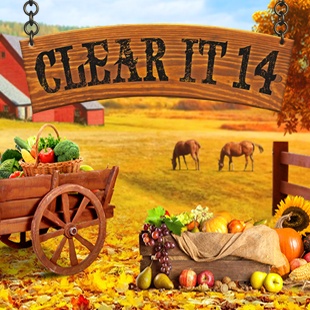 Clear It 14