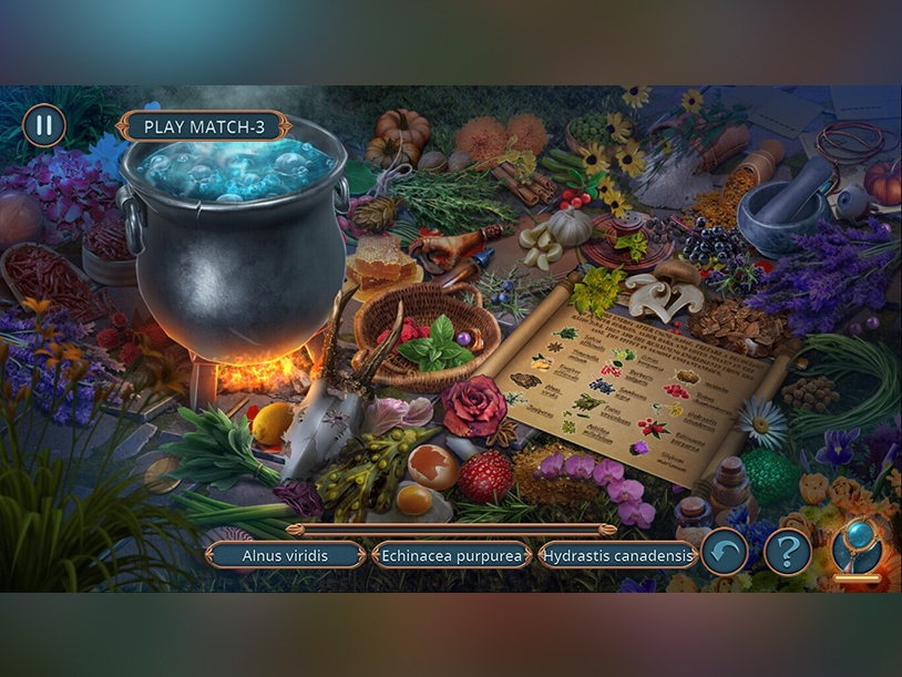 Connected Hearts: Cost of Beauty Collector's Edition screenshot 1
