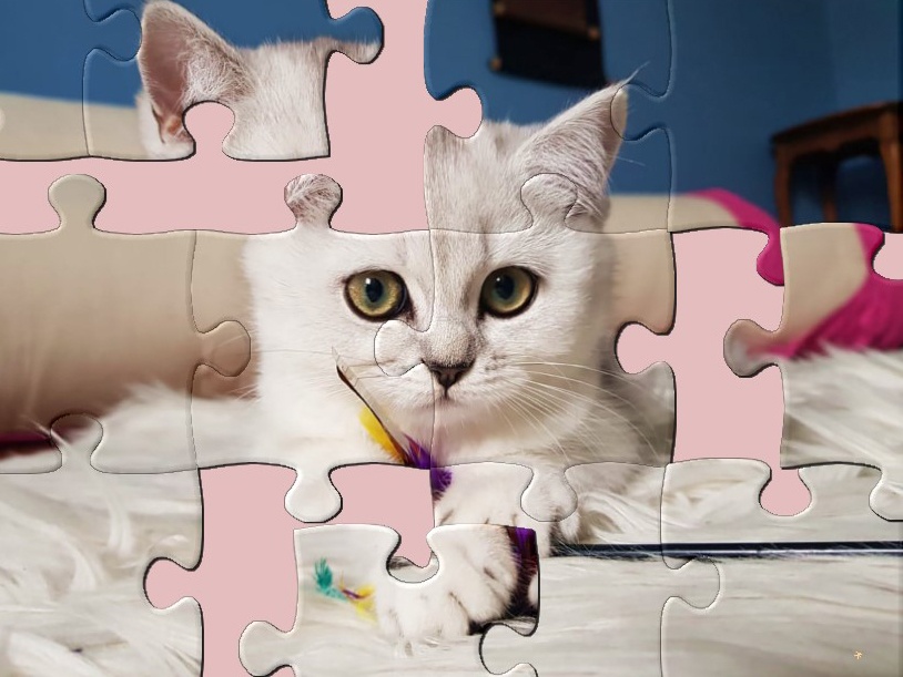1001 Jigsaw Cute Cats 2 screenshot 2