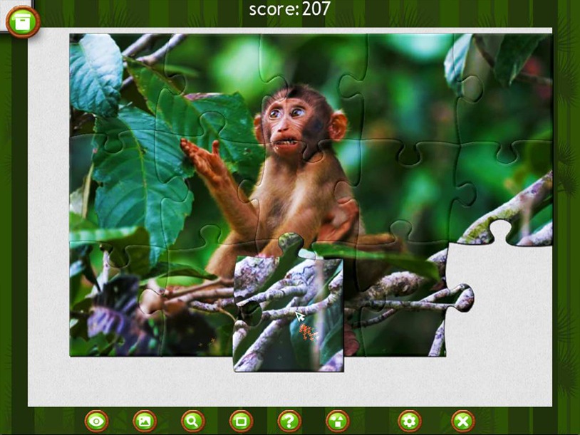 1001 Jigsaw Wild Animals screenshot 1