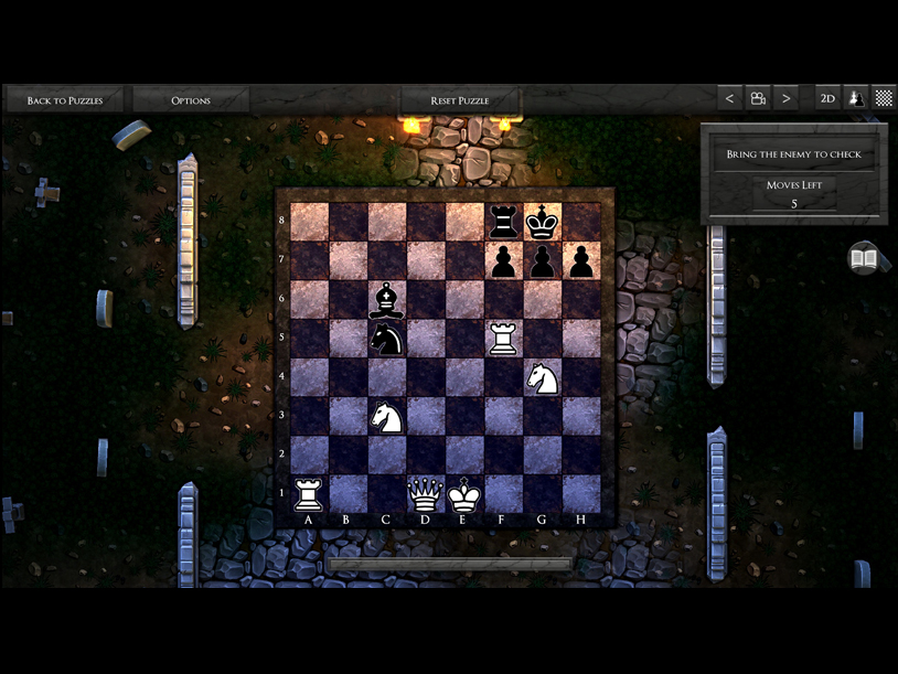3D Chess screenshot 3