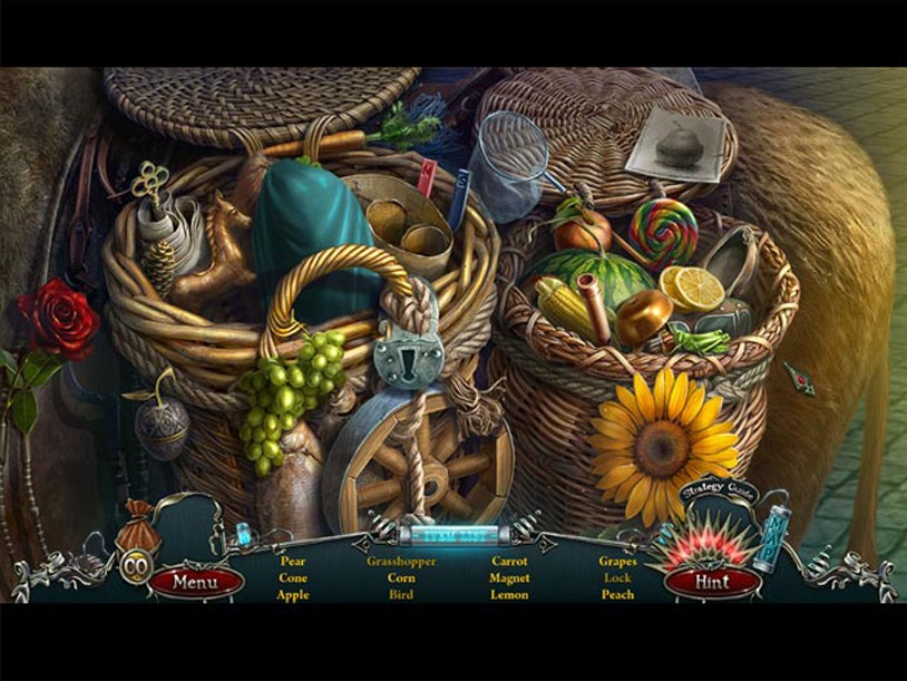 Grim Facade: Hidden Sins Collector's Edition screenshot 2
