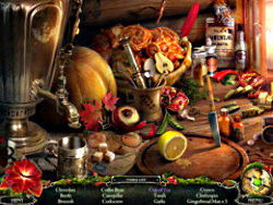 Grim Tales: The Wishes screenshot 2