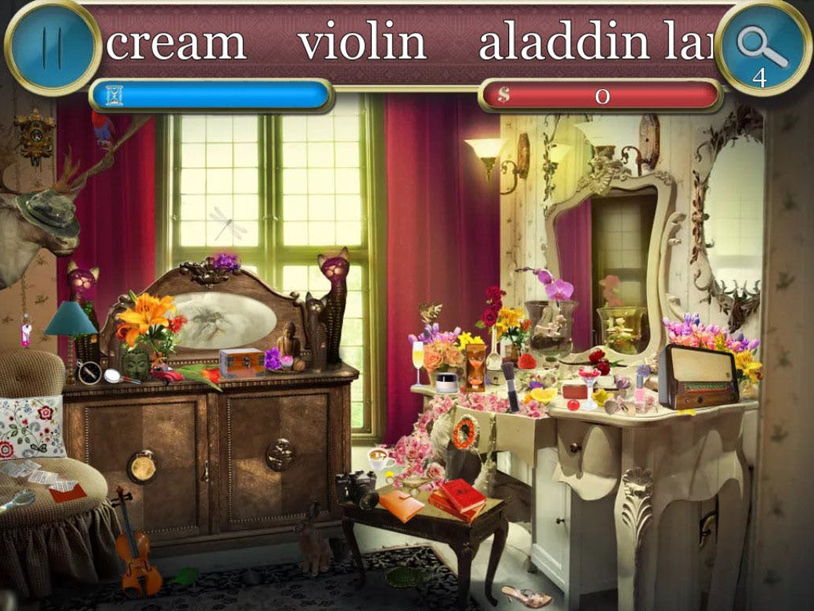 Hidden Dreams 2 in 1 screenshot 3