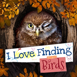 I Love Finding Birds