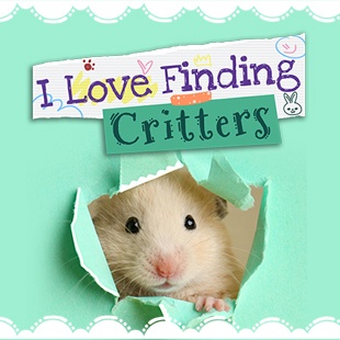 I Love Finding Critters