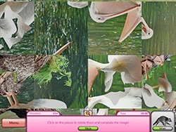 I Love Finding Wild Friends screenshot 3