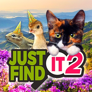 Just Find It 2