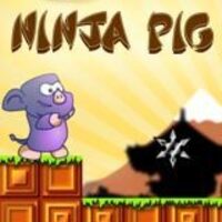 Ninja Pig