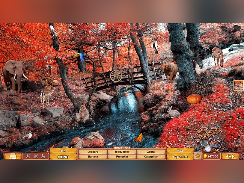 Our Beautiful Earth 7 Collector's Edition screenshot 3