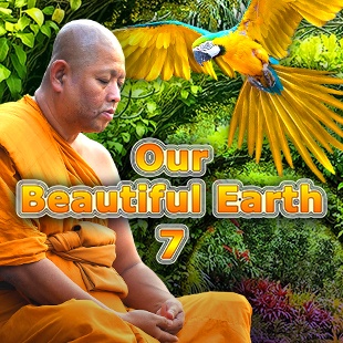 Our Beautiful Earth 7