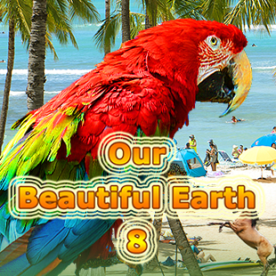 Our Beautiful Earth 8