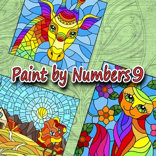 Paint By Numbers 9