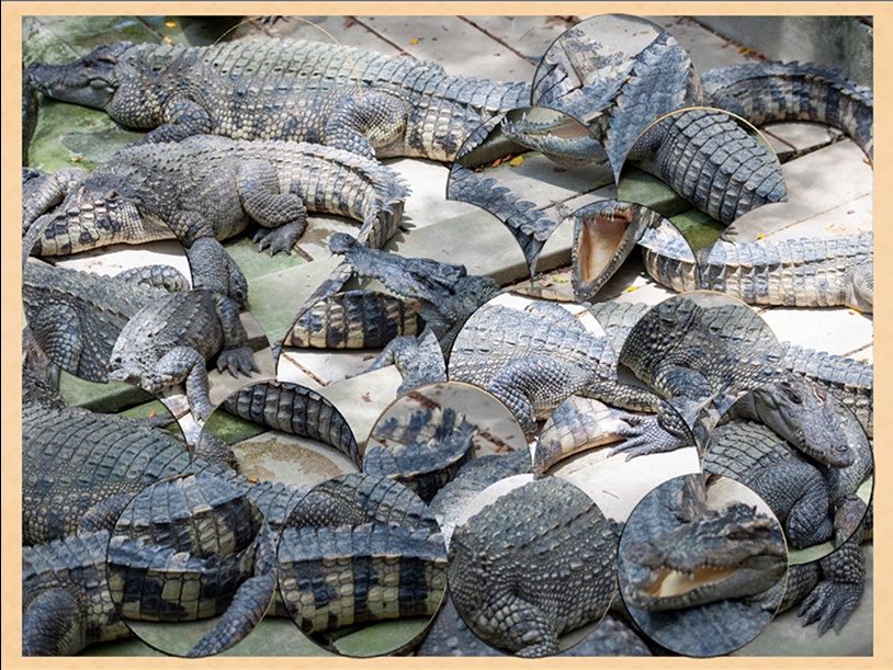 Puzzle Vacations: Thailand and Cambodia screenshot 1