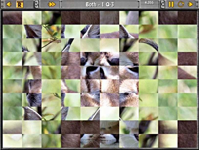 Sliders & Other Square Jigsaw Puzzles screenshot 3