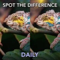Spot The Difference Daily