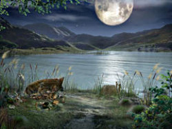 Temple Of Life The Legend of Four Elements screenshot 2