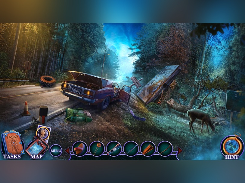 Twin Mind: Power of Love Collector's Edition screenshot 3