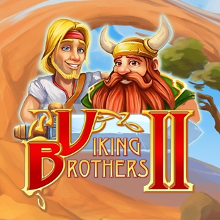 Viking Brothers 2